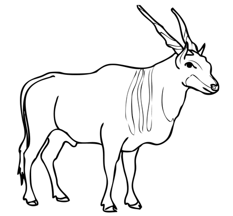 Savannah And Plains Antelope Eland Coloring Page